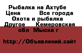 Рыбалка на Ахтубе › Цена ­ 500 - Все города Охота и рыбалка » Другое   . Кемеровская обл.,Мыски г.